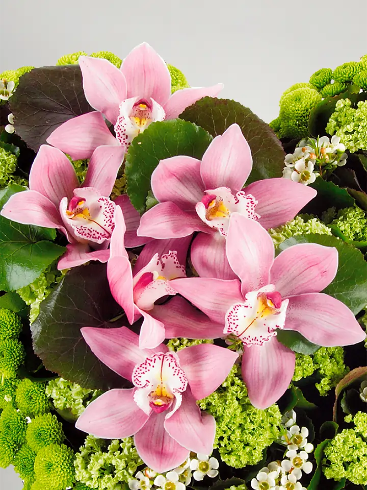 Fustella sottile ZAG fiori e piante fiore piccolo 3D