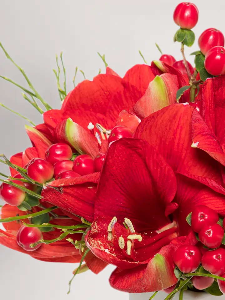 Red Amaryllis Festive Bouquet Red Amaryllis Festive Bouquet