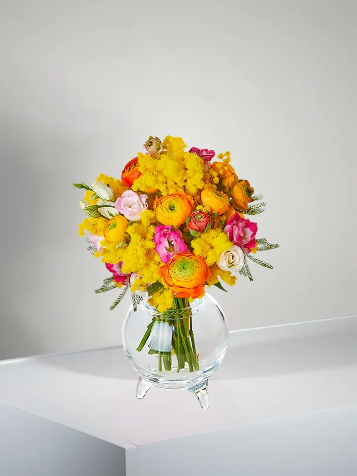 Bouquet of mimosa and colorful ranunculus