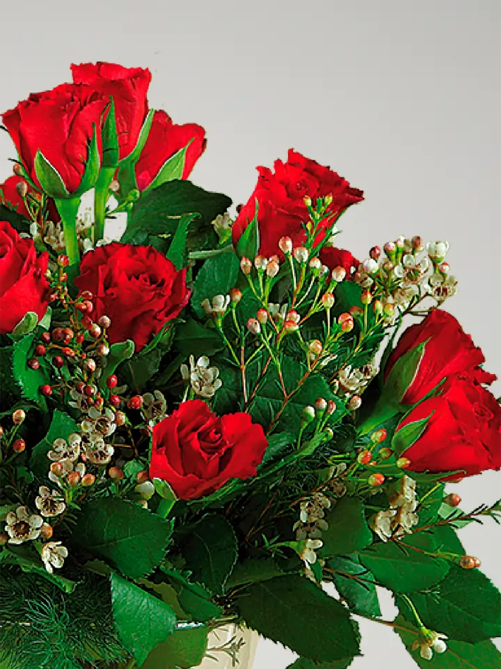 Rose Rosse Big Heart Of Red Roses – DELUXY