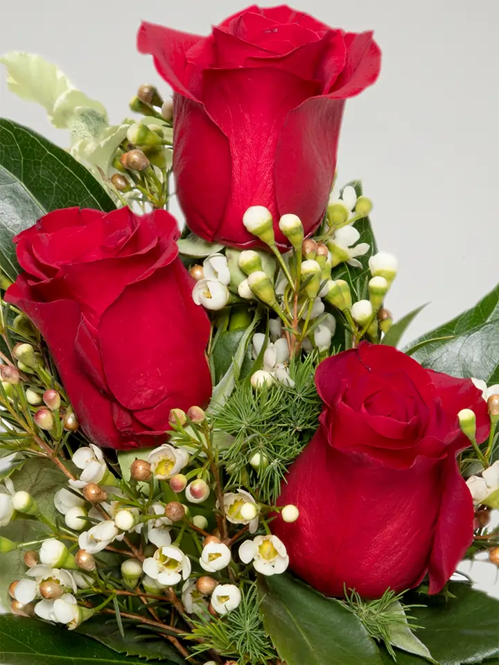 3 Rose Rosse - Bouquet Elegante | Faxiflora